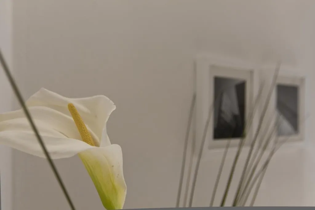 Suitime Milan Apartment
